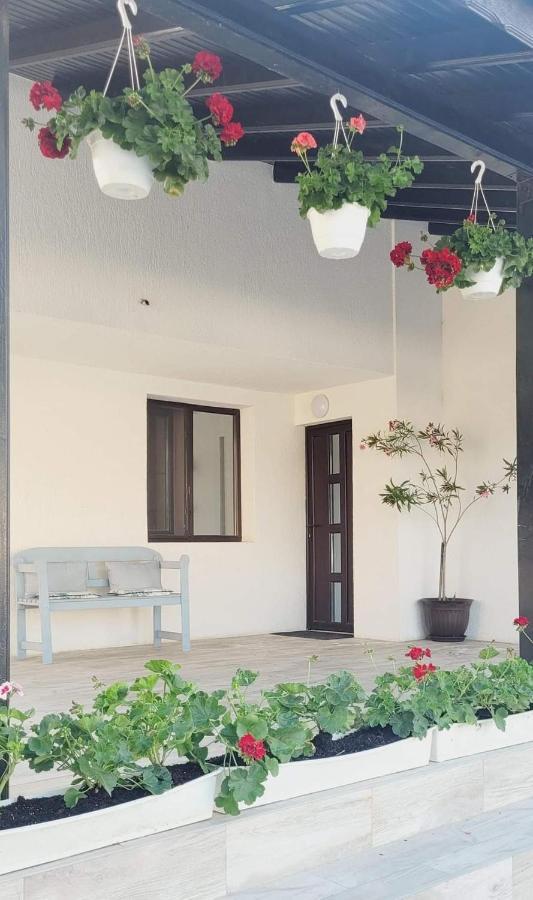 Casa Domneasca Hotell Giurgiu Exteriör bild