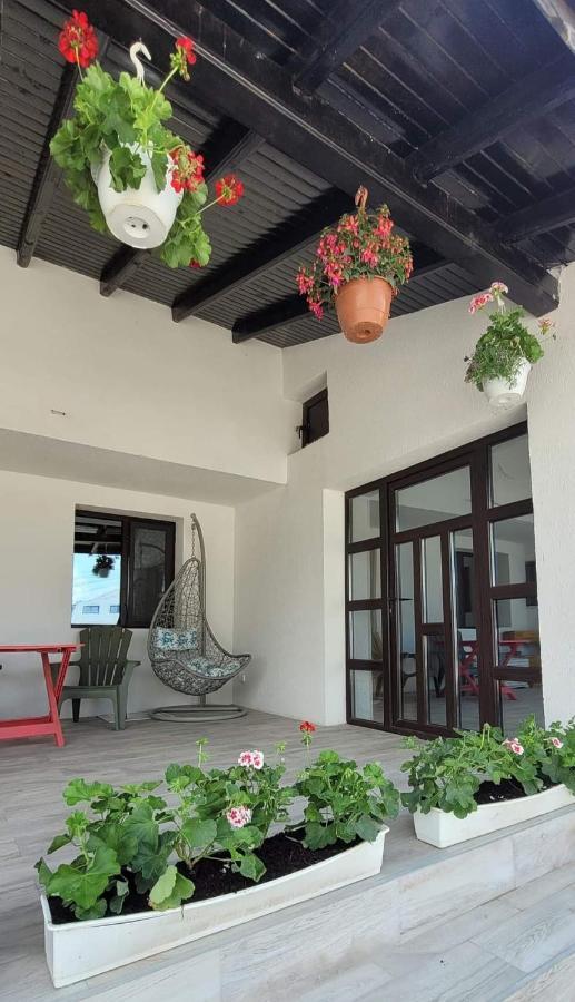Casa Domneasca Hotell Giurgiu Exteriör bild